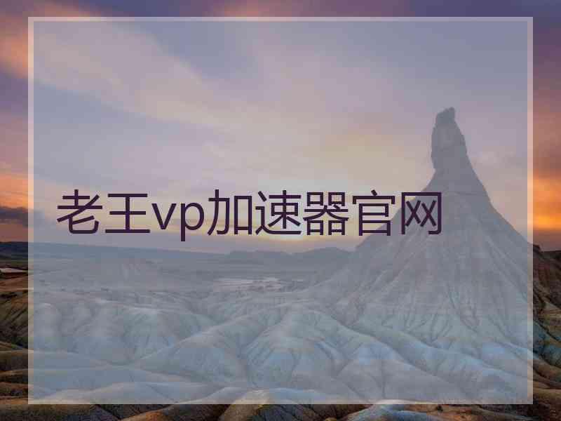 老王vp加速器官网
