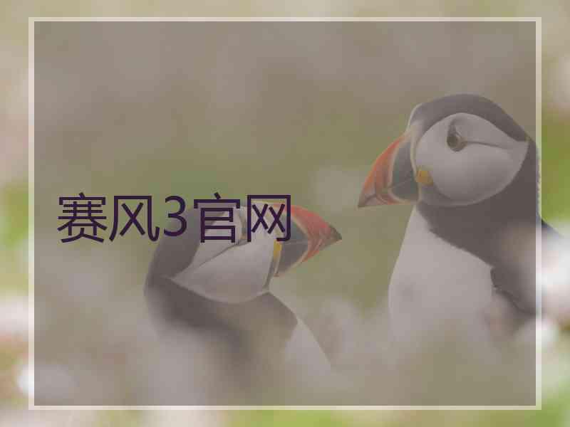 赛风3官网