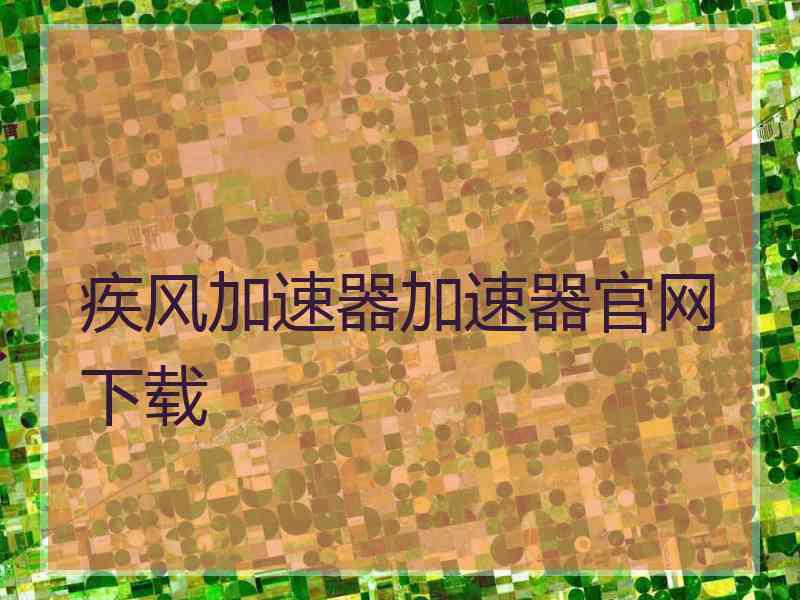 疾风加速器加速器官网下载