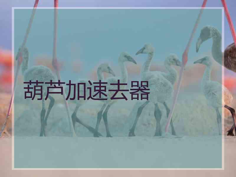 葫芦加速去器