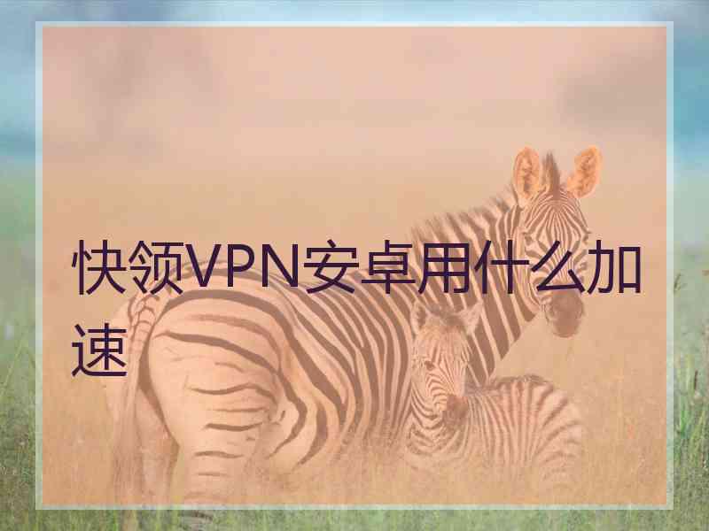 快领VPN安卓用什么加速