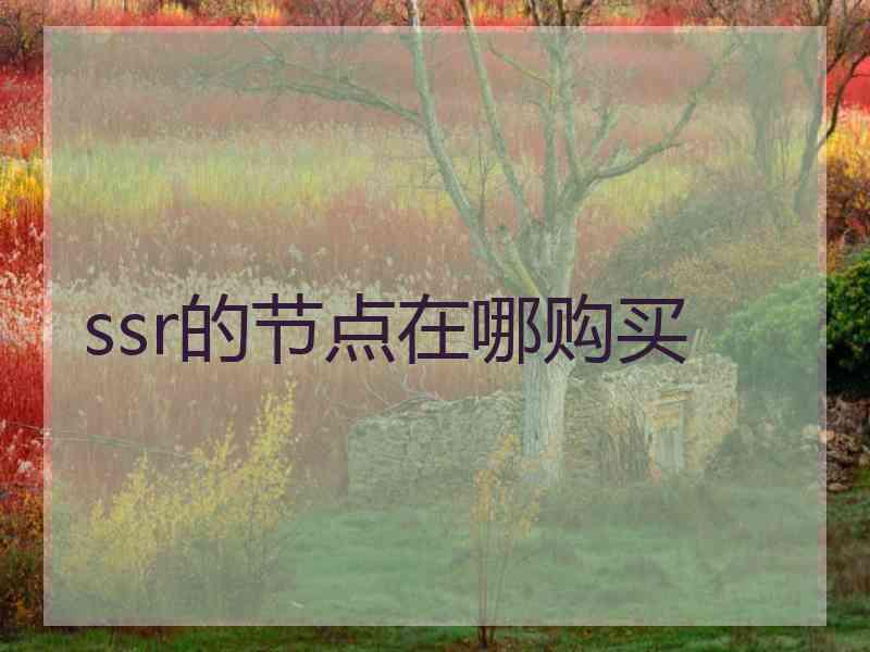 ssr的节点在哪购买