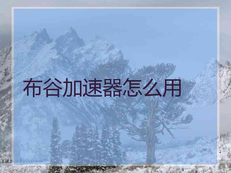 布谷加速器怎么用