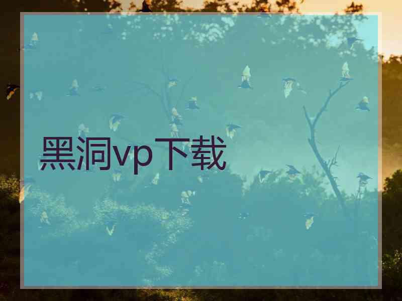 黑洞vp下载