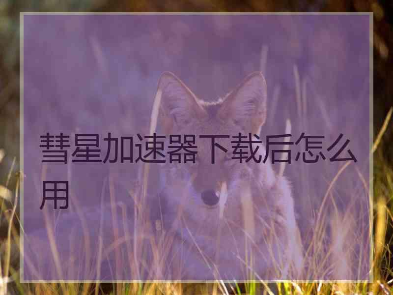 彗星加速器下载后怎么用