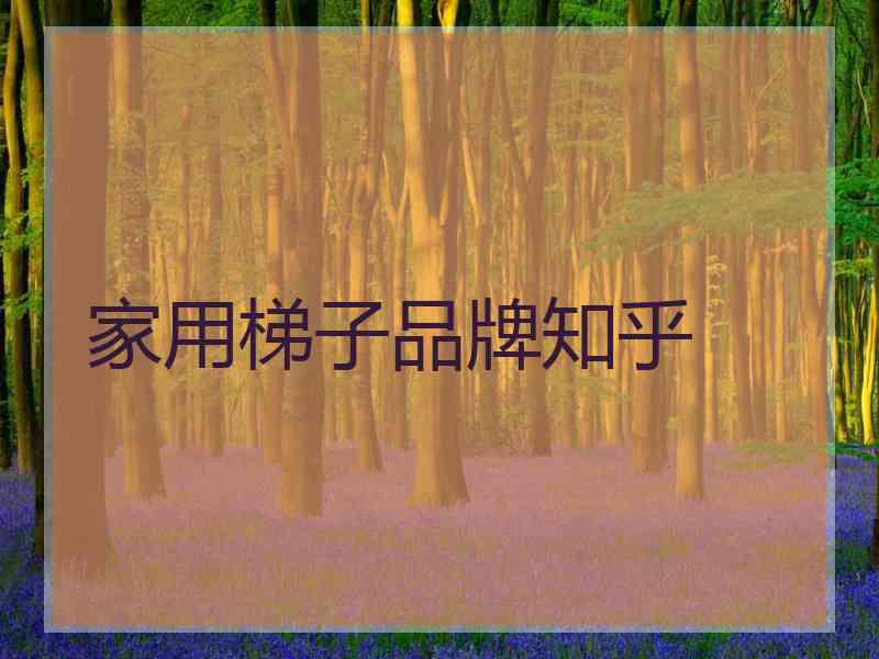 家用梯子品牌知乎
