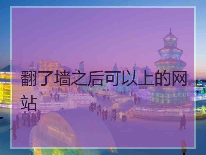 翻了墙之后可以上的网站
