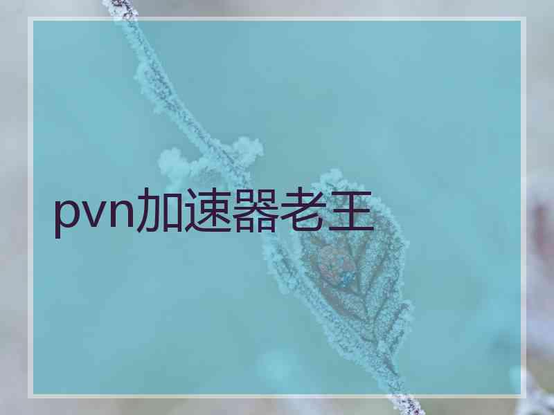 pvn加速器老王