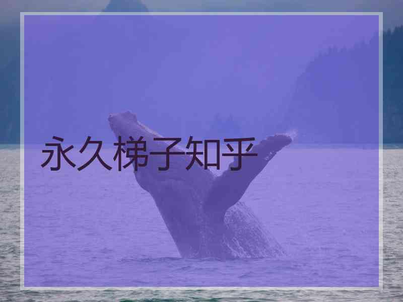 永久梯子知乎