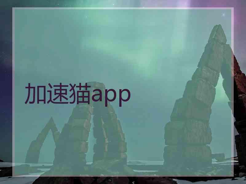 加速猫app