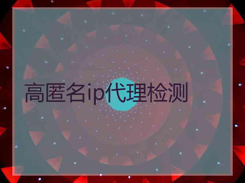 高匿名ip代理检测