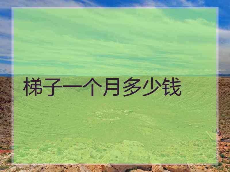 梯子一个月多少钱