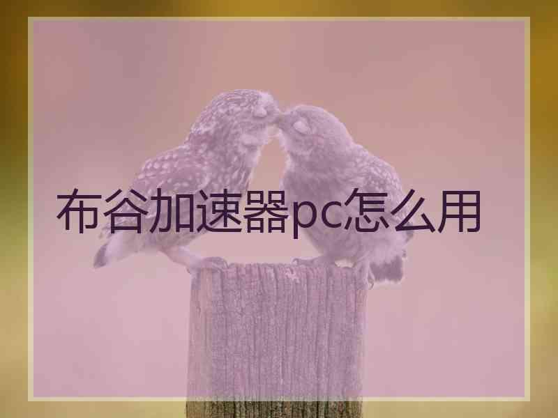 布谷加速器pc怎么用