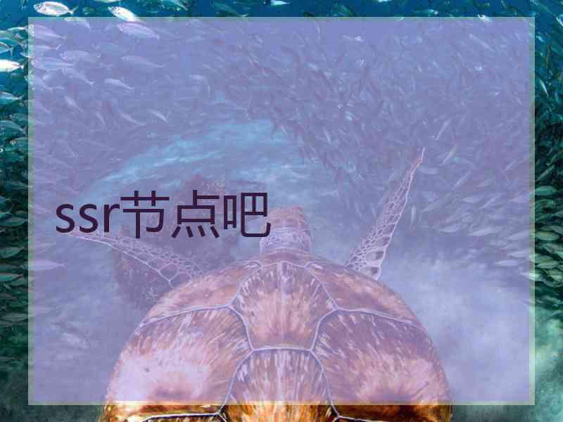 ssr节点吧