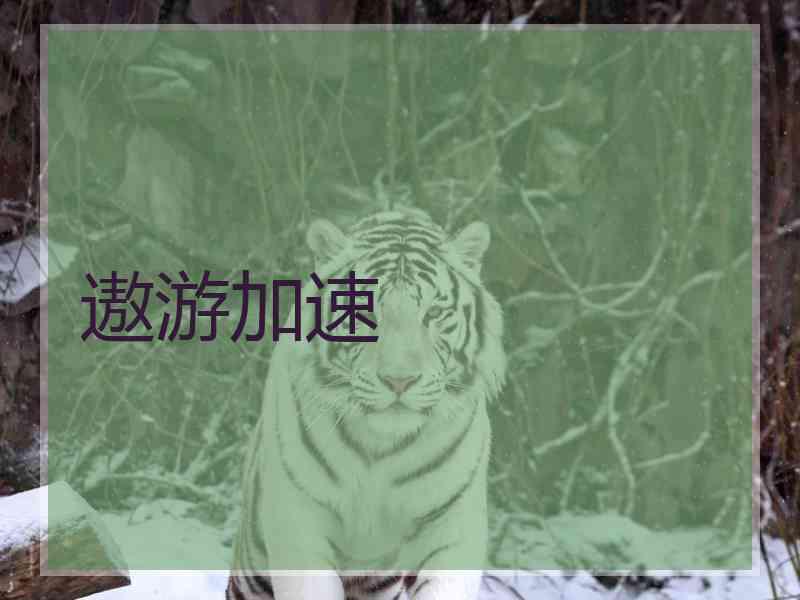 遨游加速