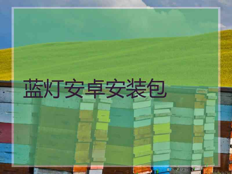 蓝灯安卓安装包