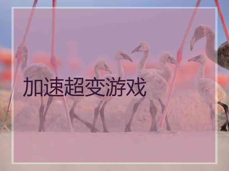 加速超变游戏