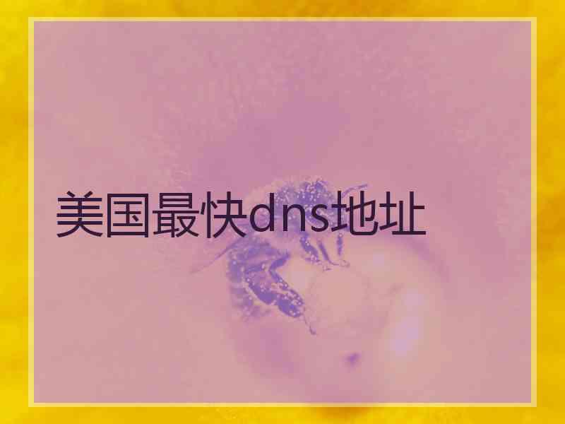 美国最快dns地址