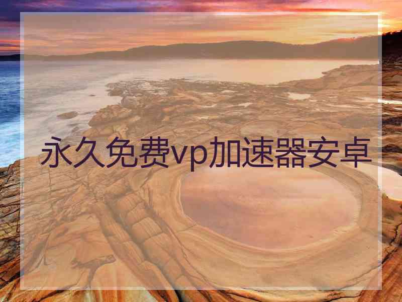永久免费vp加速器安卓