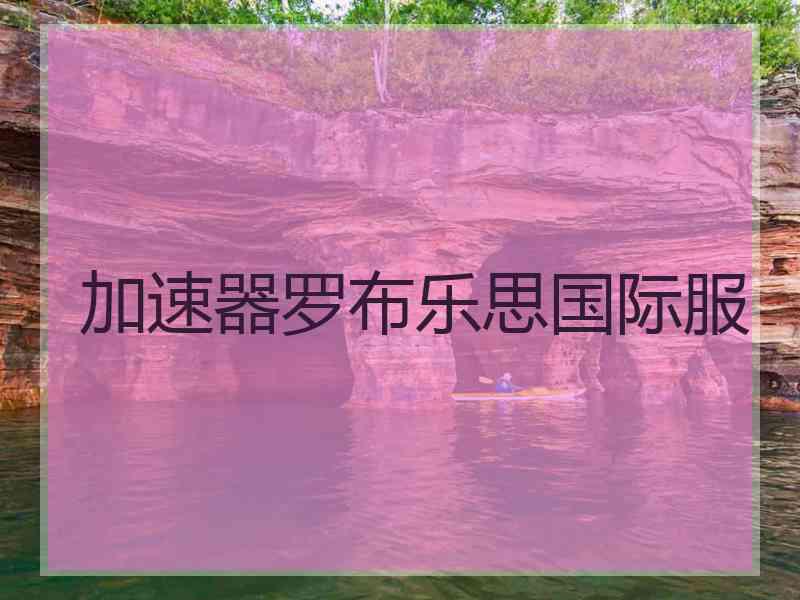 加速器罗布乐思国际服