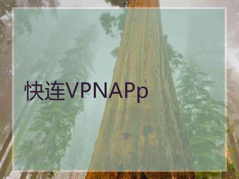 快连VPNAPp