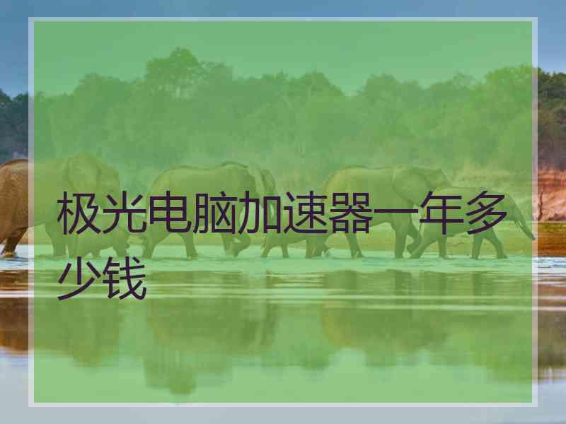 极光电脑加速器一年多少钱