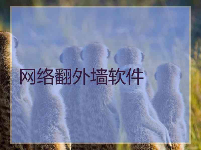 网络翻外墙软件