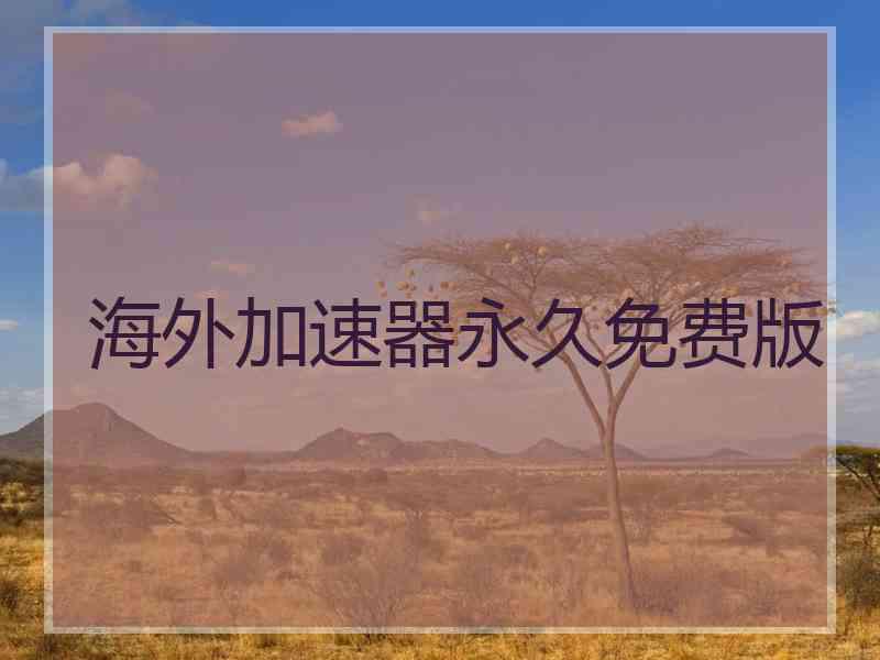 海外加速器永久免费版
