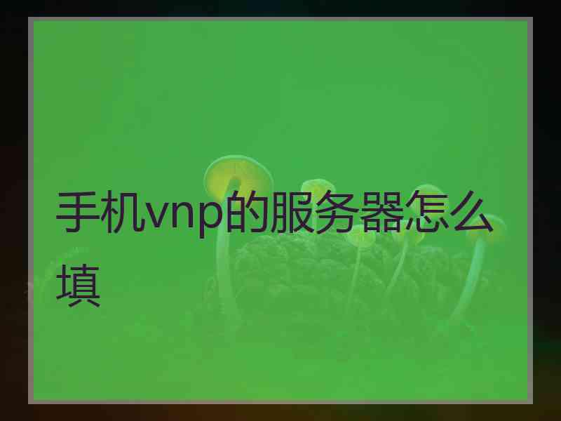 手机vnp的服务器怎么填
