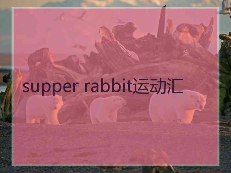 supper rabbit运动汇