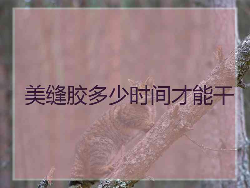 美缝胶多少时间才能干
