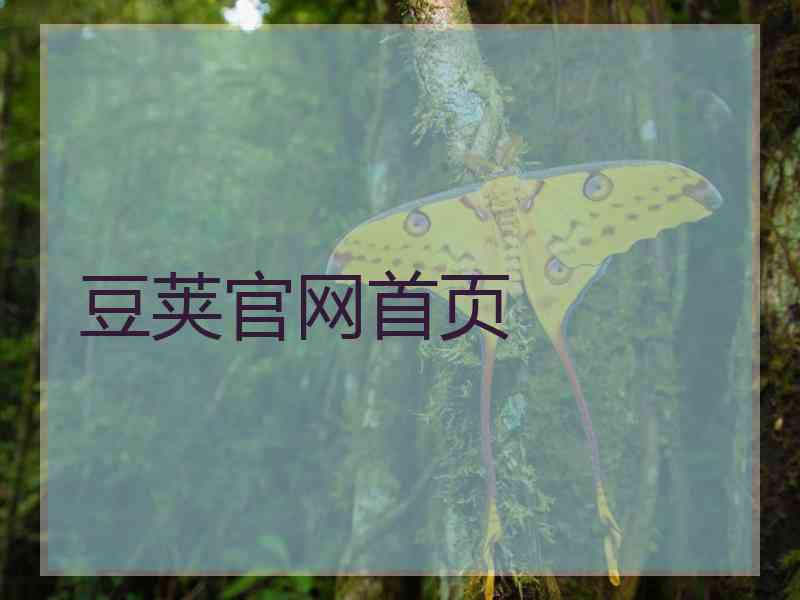 豆荚官网首页