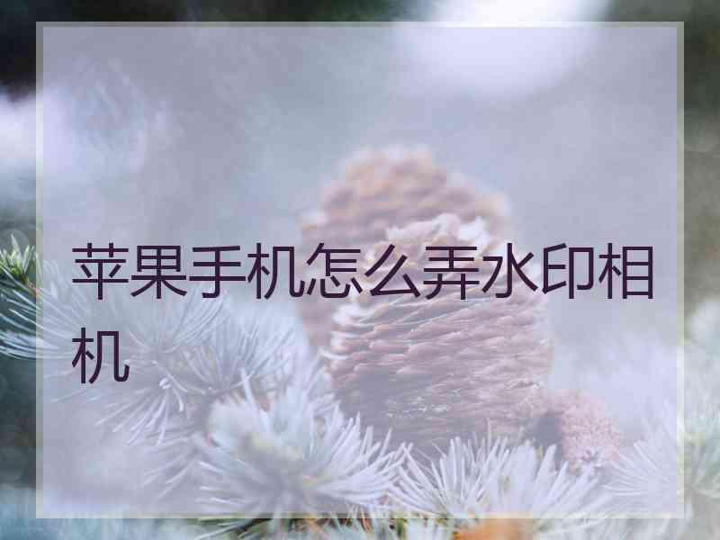 苹果手机怎么弄水印相机