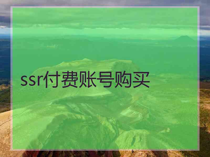 ssr付费账号购买