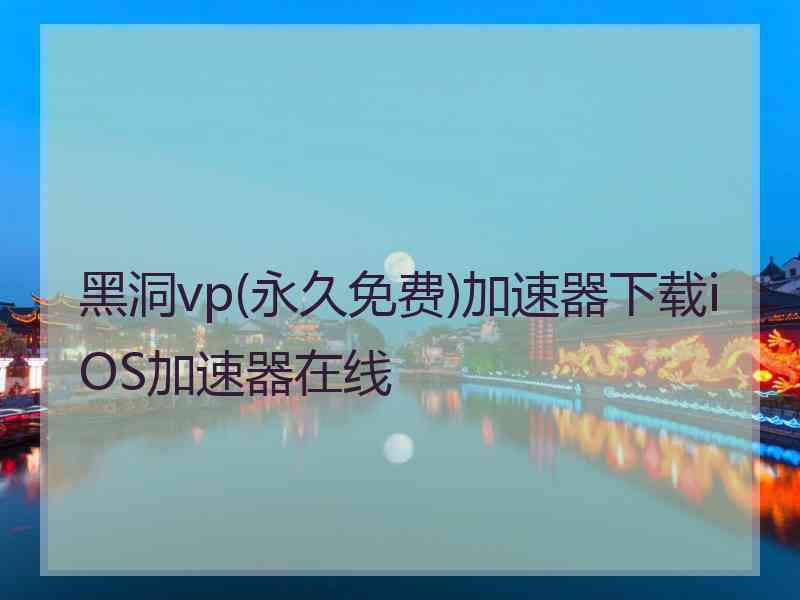 黑洞vp(永久免费)加速器下载iOS加速器在线