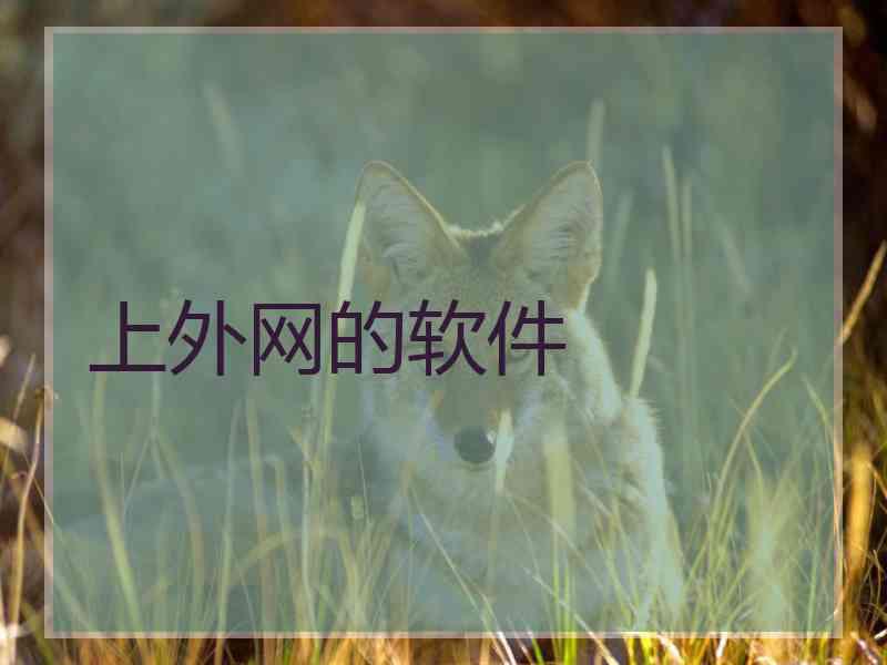 上外网的软件