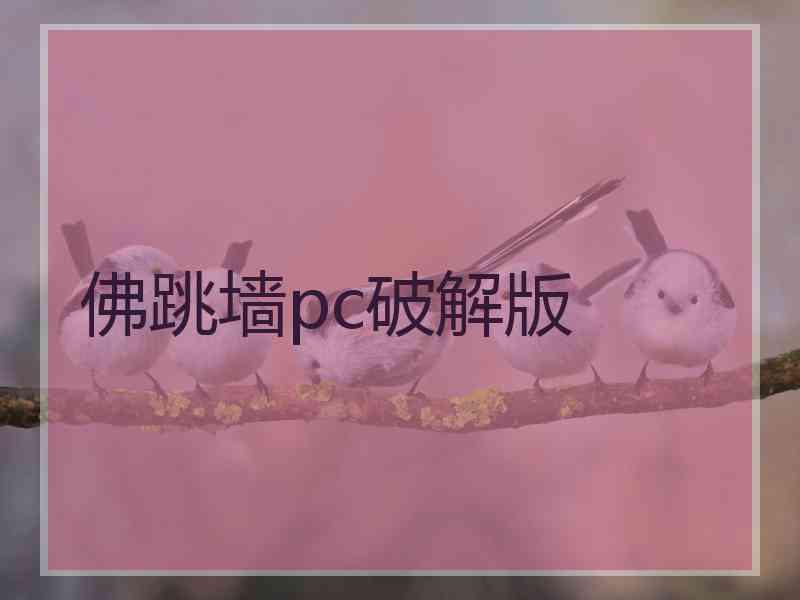 佛跳墙pc破解版