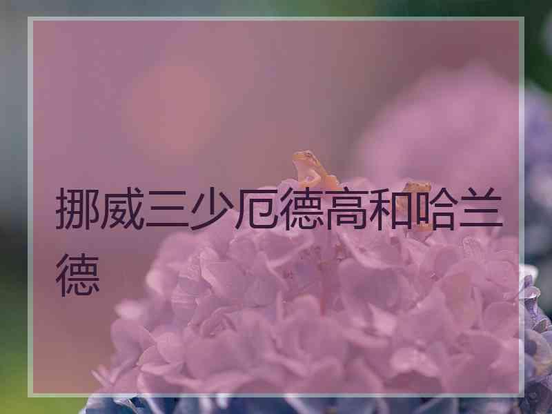 挪威三少厄德高和哈兰德