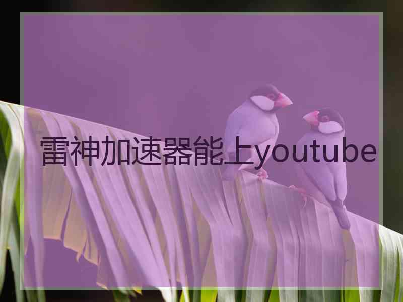 雷神加速器能上youtube