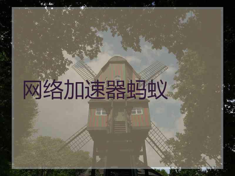 网络加速器蚂蚁