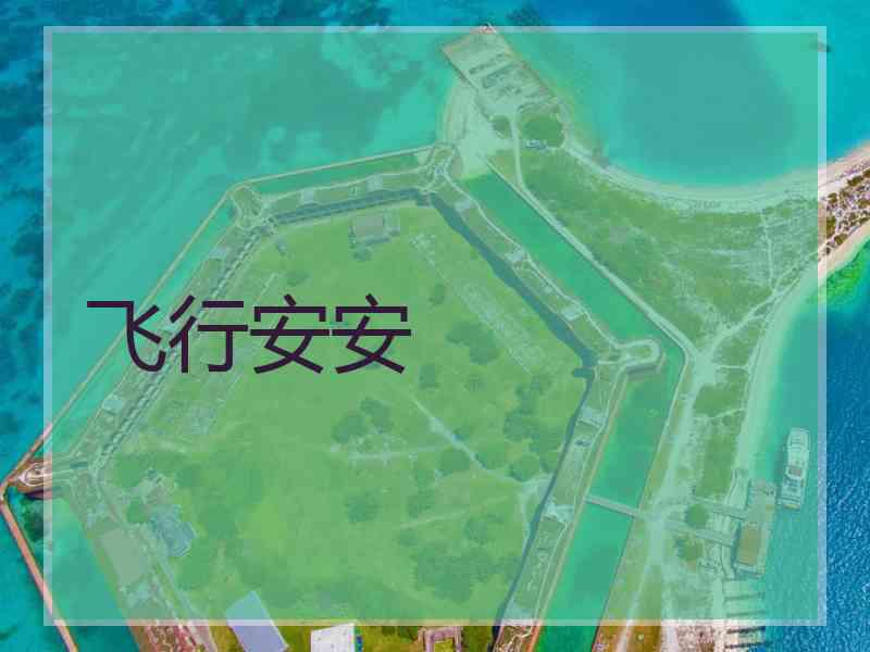 飞行安安