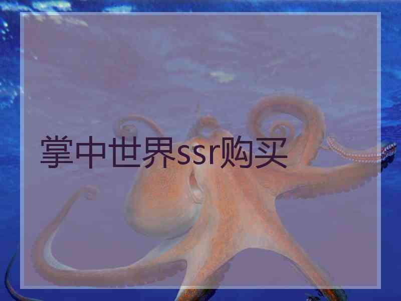掌中世界ssr购买