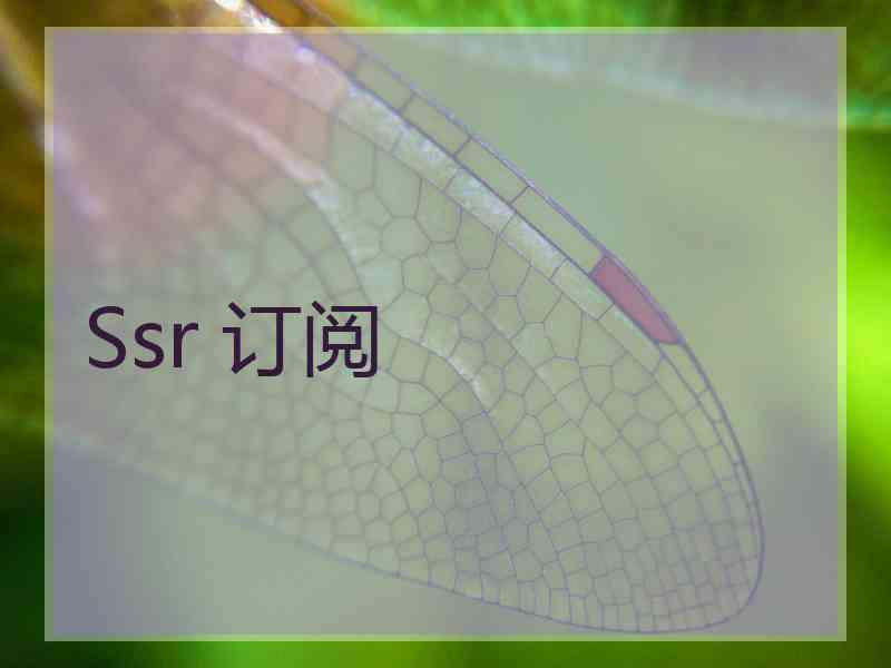 Ssr 订阅