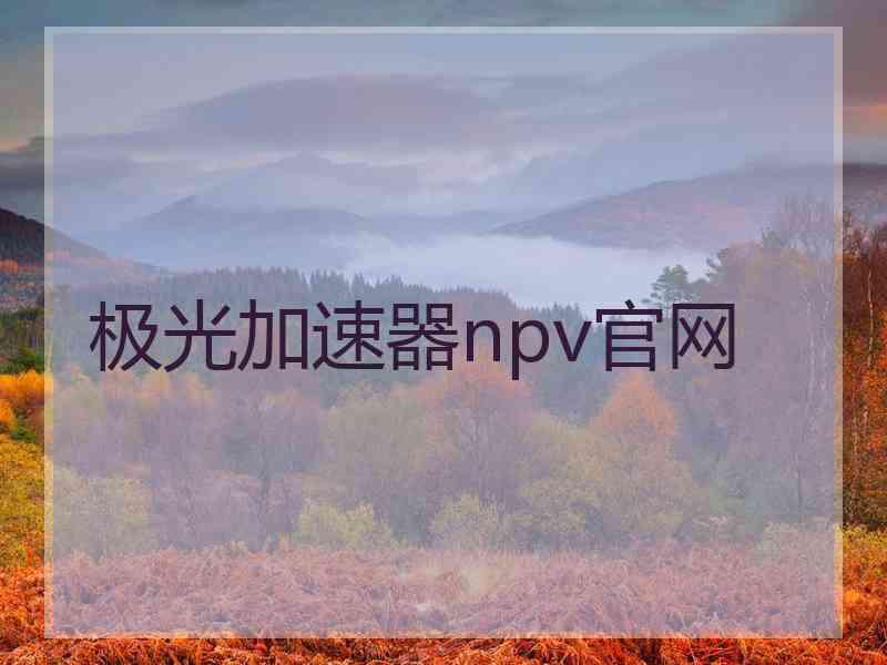 极光加速器npv官网