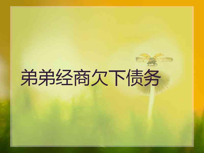 弟弟经商欠下债务