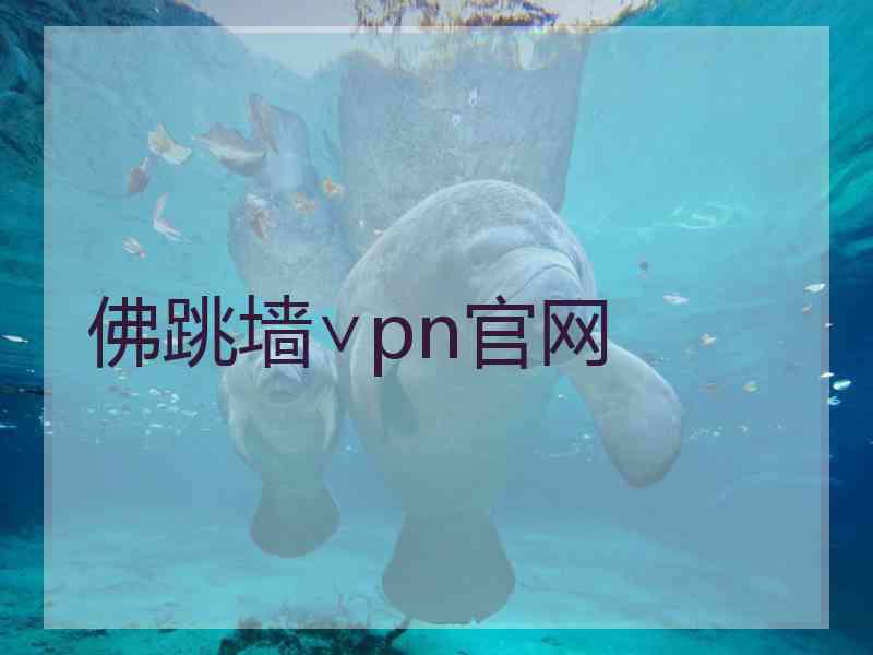 佛跳墙∨pn官网