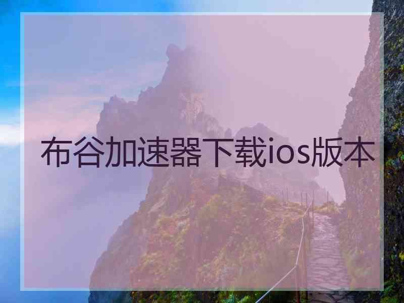 布谷加速器下载ios版本
