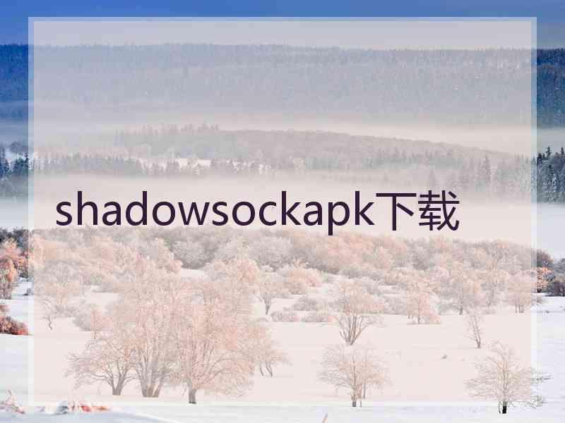 shadowsockapk下载