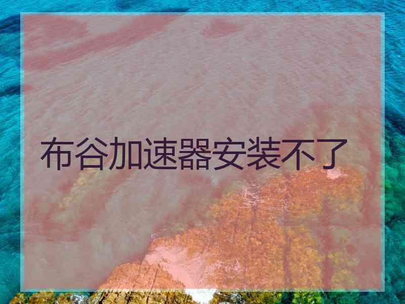 布谷加速器安装不了