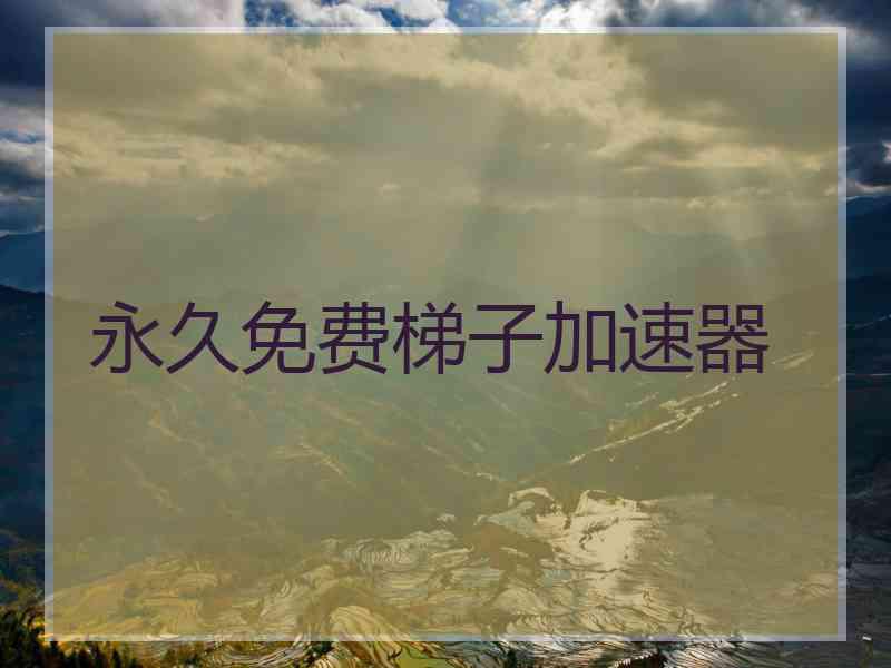永久免费梯子加速器